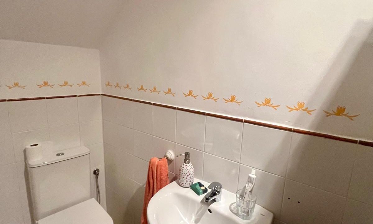 PHOTO-2026-02-02-14-37-52 (3)