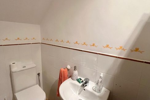 PHOTO-2026-02-02-14-37-52 (3)